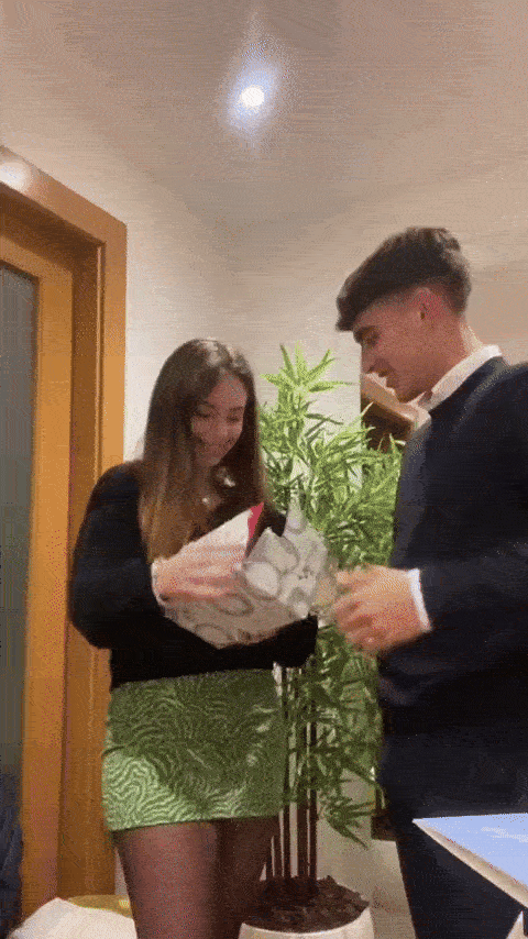 Enchanted Sparkly Rose